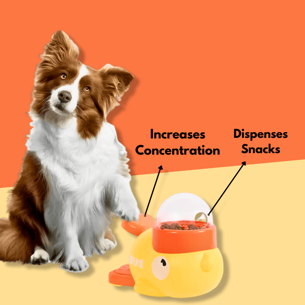 Duckle - Pet Interactive Feeder