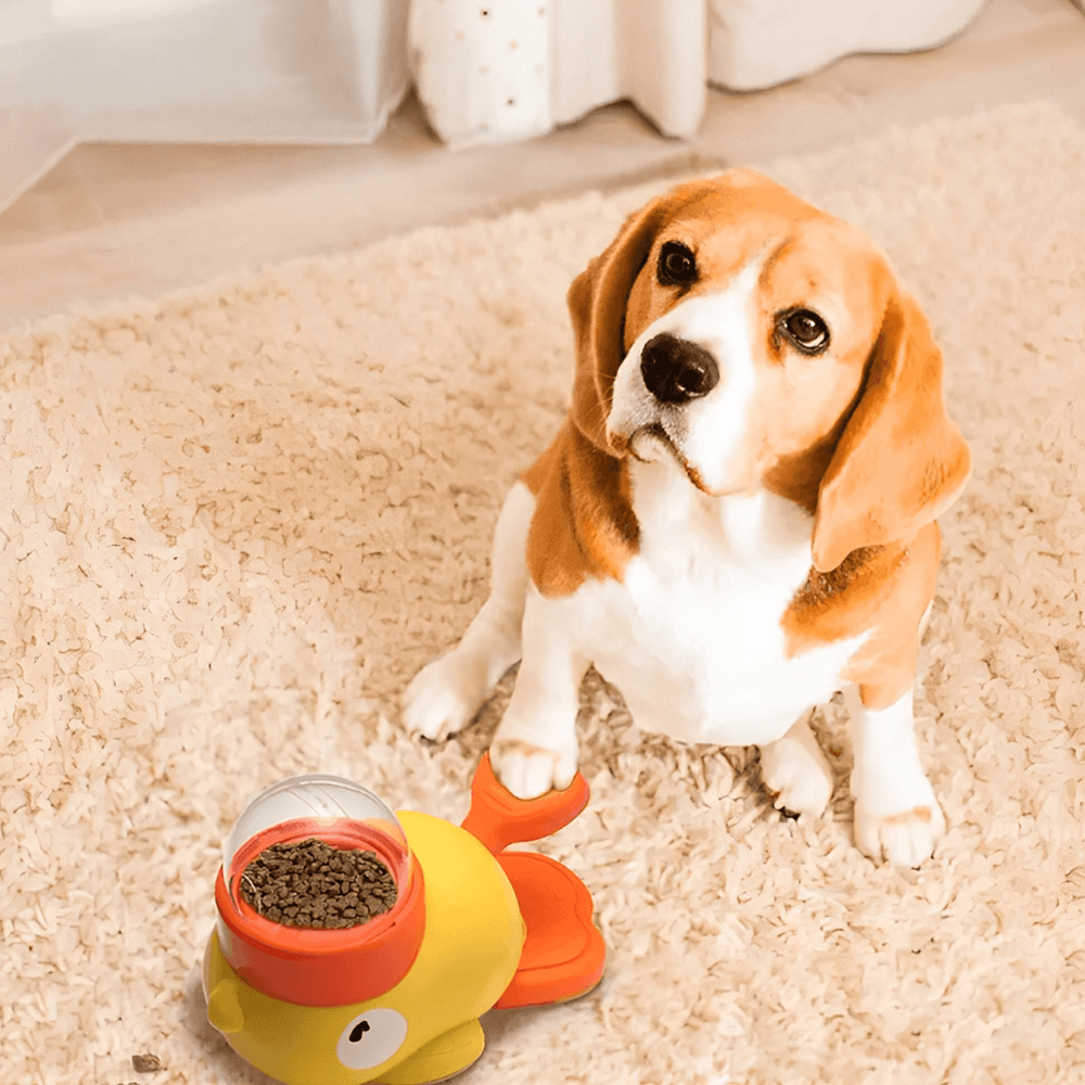 Duckle - Pet Interactive Feeder
