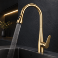 Kitchen Faucet with Sprayer – Pull Down, Single Handle