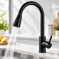 Kitchen Faucet with Sprayer, Pull Down Single Handle High Arc