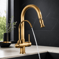 Kitchen Faucet with Pull Down Sprayer & Filtered Water Outlet