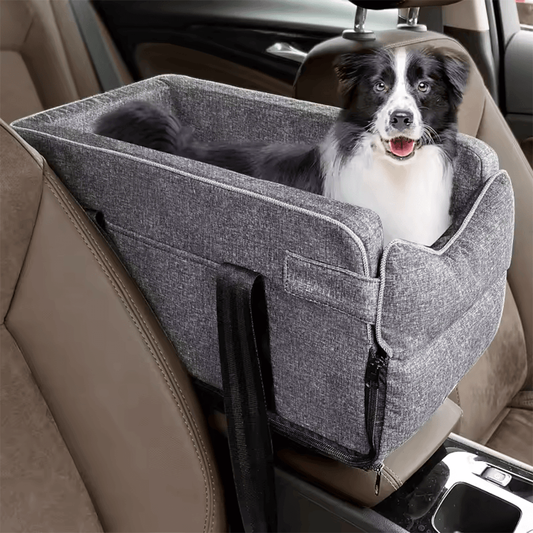 Pawsenger - Pet Seat
