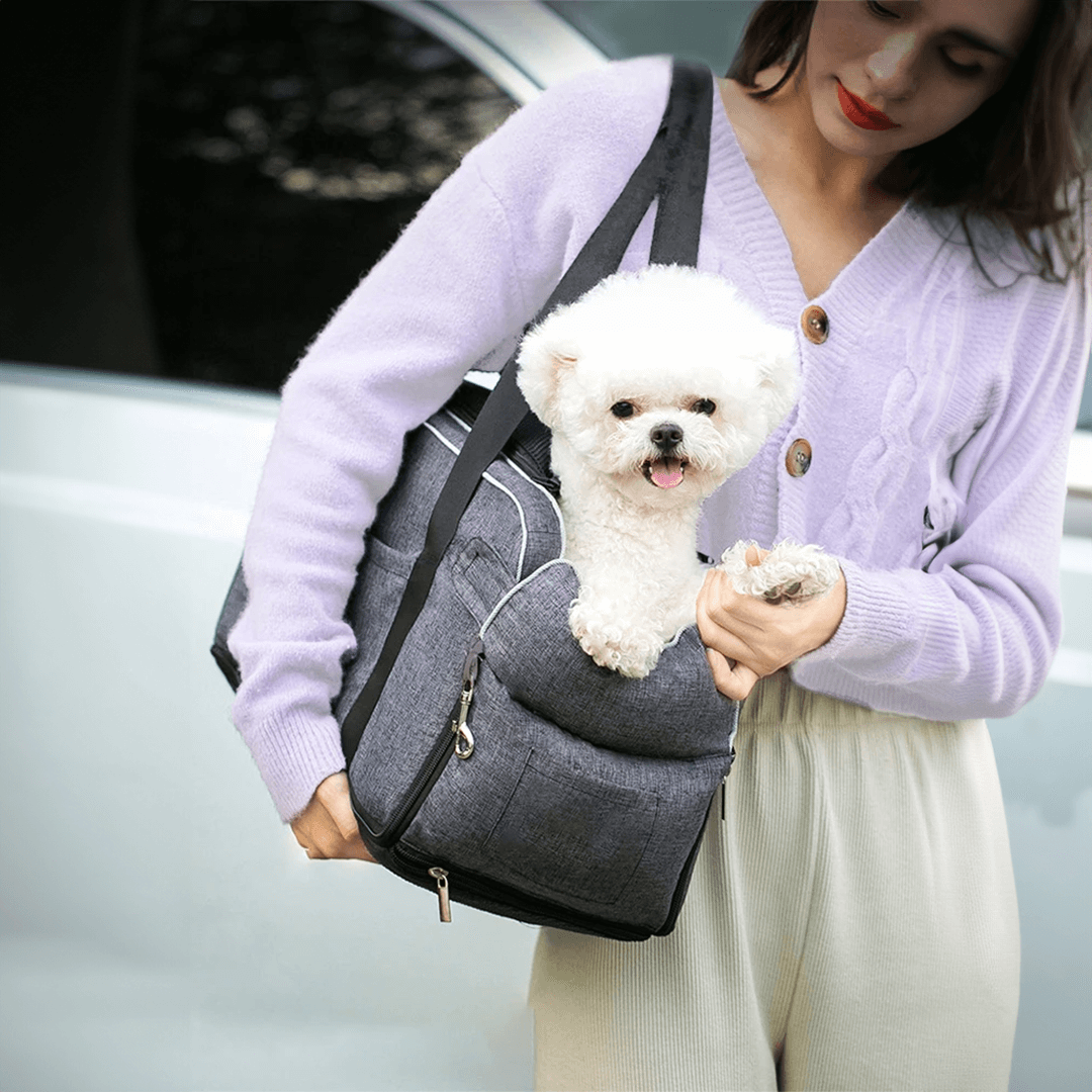 Pawsenger - Pet Seat