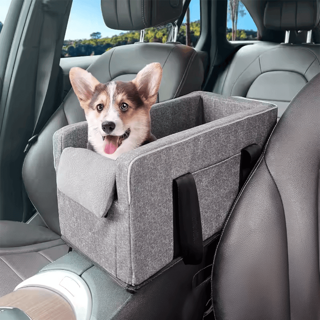 Pawsenger - Pet Seat