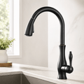 Vintage Single Handle Pull Down Kitchen Faucet with Sprayer