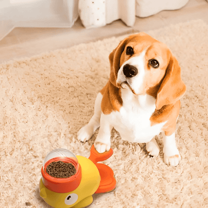 Duckle - Pet Interactive Feeder